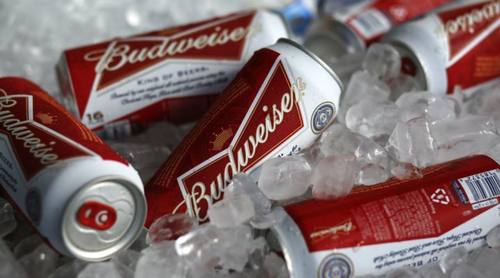 В Индии с помощью солнечной энергии начнут производить пиво Budweiser
