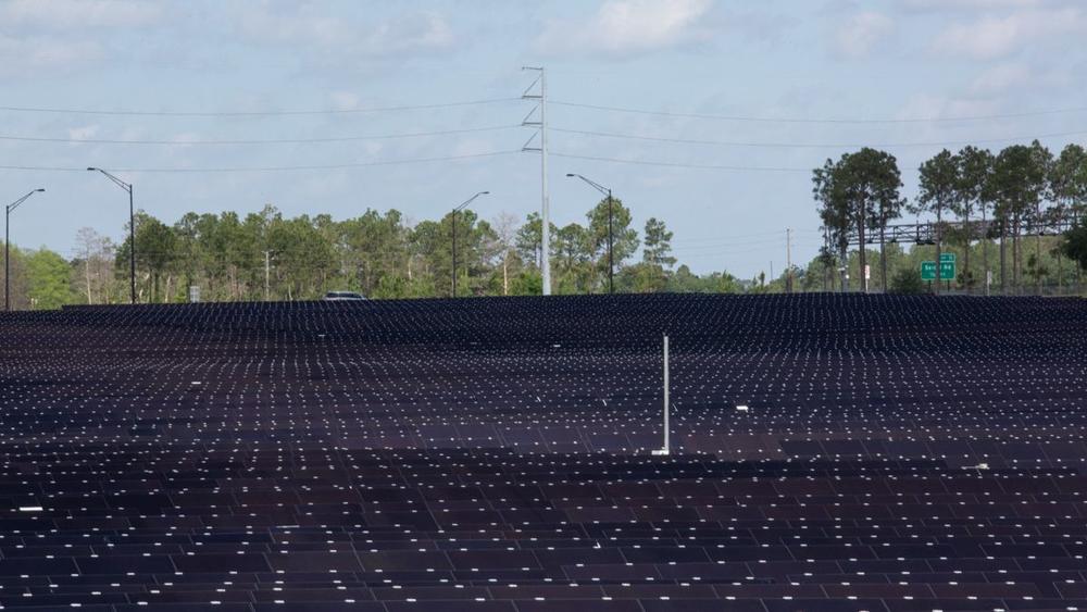 Disney построит новую большую солнечную электростанцию