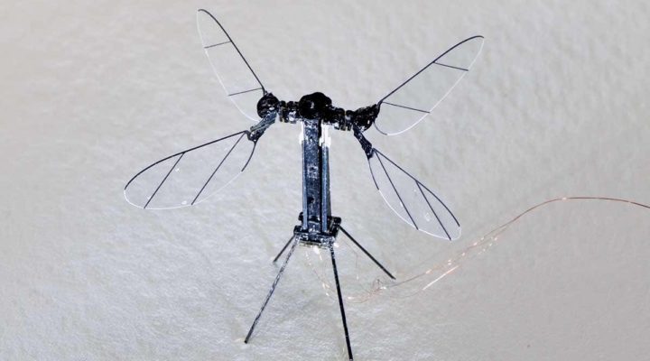 Инженеры сконструировали крошечное робонасекомое, которое летает благодаря солнечной энергии