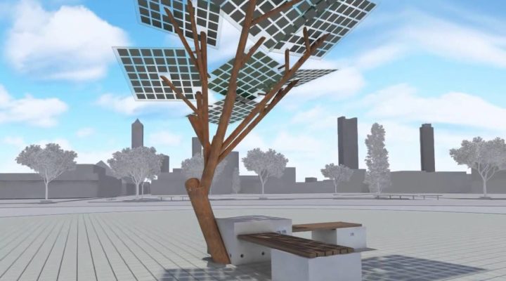 В Житомире появится парк солнечных деревьев