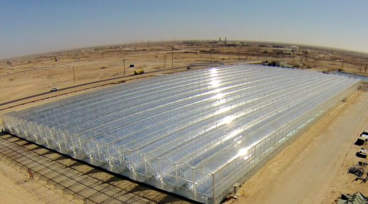 Оман потратит $600 миллионов на строительство крупнейшего в мире солнечного завода